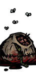 Junia Head